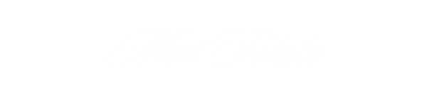 Group of diverse women and men leaders and entrepreneurs in a professional setting, engaged in conversation 